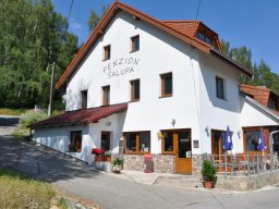 salupa_09