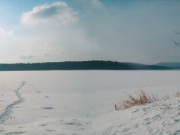 salupa_21