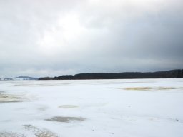 zima_2015_07