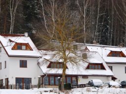 zima_2015_10